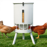 KOL 50LB metal chicken feeder front view with locking clasps protecting feed