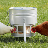 KOL metal chicken feeder 15lbs with ground-mounted design keeps feed clean and dry.