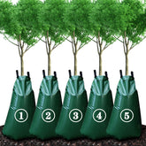 KONIGEEHRE 20-gallon tree watering bag around trunk delivers steady hydration.