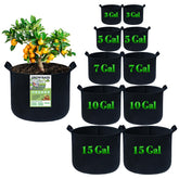 Kopotma grow bags in mixed sizes enable flexible planting spaces for vegetables.