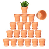 Kosrtuny 3-inch terracotta pot with saucer in a 20-pack arrangement for display