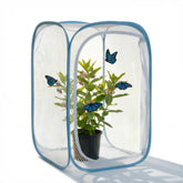 KraAra Habitat Cage pop-up frame, easy setup and roomy interior for caterpillars.