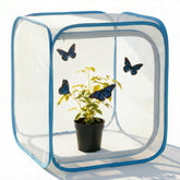 KraAra pop-up habitat cage ready for quick setup and classroom observation
