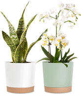 kubvici 8in green planter front view for indoor decor and easy plant placement.