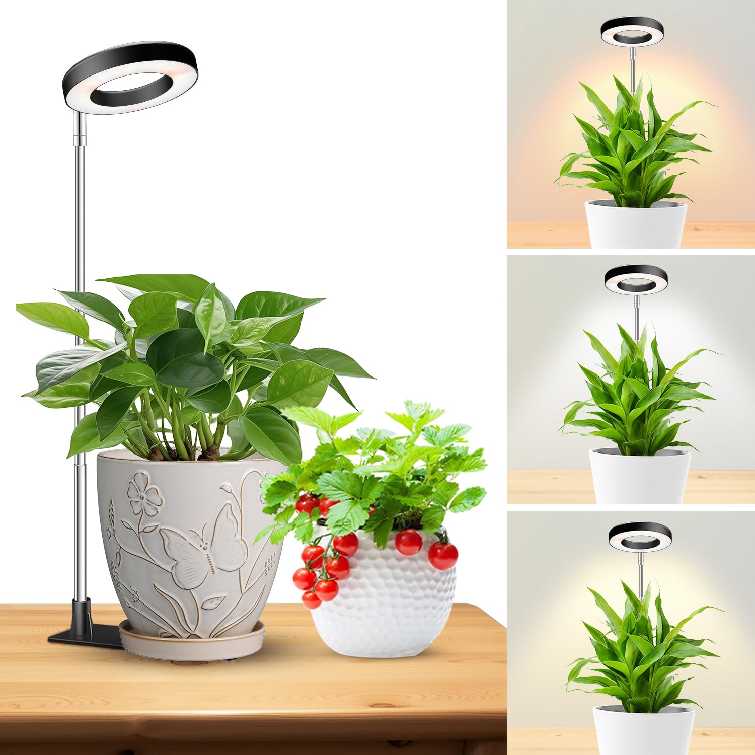 Kullsinss Grow Light Base stabilizes a potted plant on a desk for steady indoor growth