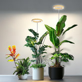 Kullsinss grow light full spectrum panel illuminates indoor plants effectively