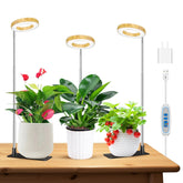 Kullsinss Grow Light with wood grain base enhances indoor plant displays and growth.