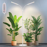 Kullsinss grow light with double heads and 360° gooseneck for even plant coverage