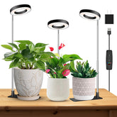 Kullsinss halo light with base setup for stable indoor seedling growth