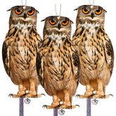 Kungfu Mall three-pack bird scare owl with dual-side pattern deters pigeons