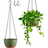 Kvetto 8-inch self-watering hanging planter shows lush, low-maintenance greenery.