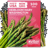 KVITER Mary Washington asparagus seeds pack showing heirloom seeds for long-term garden yields