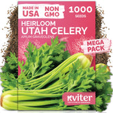 KVITER 1000 Tall Utah Celery Seeds Pack for tall stalks and home garden planting.