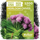 KVITER 1200 chive seeds ready to plant in garden beds for fresh kitchen herbs.