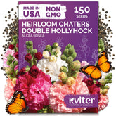 KVITER 150 Chaters hollyhock seeds germination sprouts ready to fill beds.
