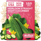 KVITER 150 Straight Eight cucumber seeds pack ready for organic home planting