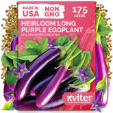 KVITER 175 long purple eggplant seeds pack for home gardens with high yield potential