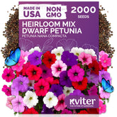 KVITER 2000-mix dwarf petunia seeds packet ready for easy color in beds and containers.