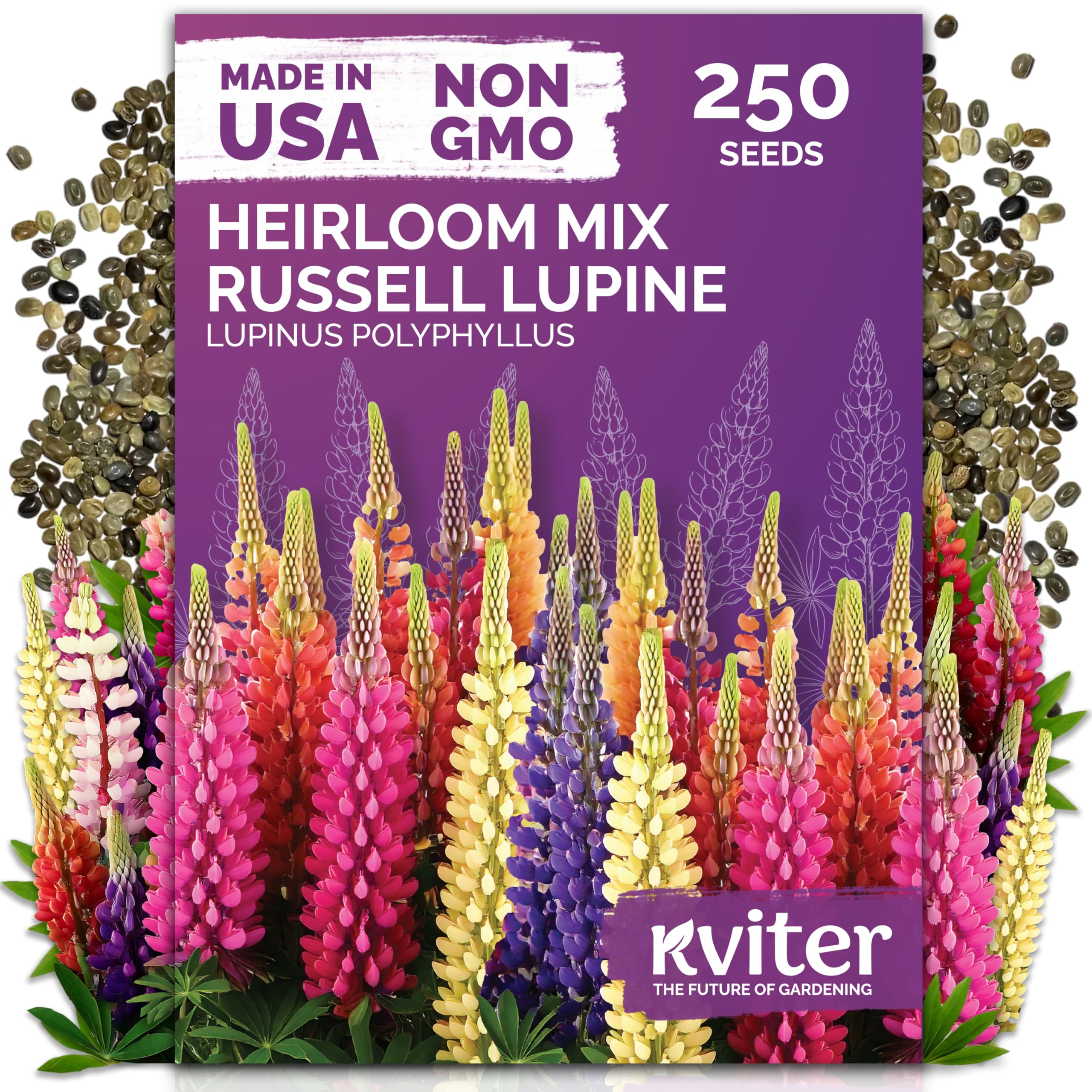 KVITER 250 mix Russell lupine seeds pack ready for sunny borders with tall blooms.