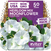 KVITER Moonflower seeds pack front view with brand label, easy to identify for planting