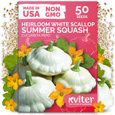 KVITER 50 White Patty Pan Seeds Pack ready for reliable home garden planting.