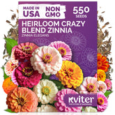 KVITER 550 Crazy Blend zinnia seeds close-up showing rich color variety for cut flowers.