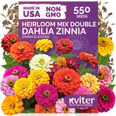 KVITER 550 Dahlia Zinnia Seeds pack for easy outdoor planting in beds.