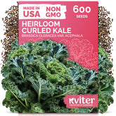 KVITER 600 Vates Blue kale seeds packaging for cool-season outdoor planting
