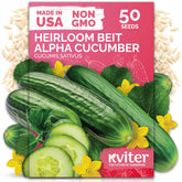 KVITER Beit Alpha cucumber seeds visible on compact vines ideal for small gardens