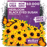 KVITER black-eyed susan seeds packaging for bulk planting and easy garden setup.