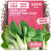 KVITER bok choy seeds pack ready for planting in home gardens.