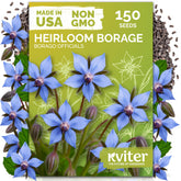 KVITER borage seeds packaging shown for easy organic sowing.