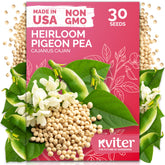 KVITER guandules seeds for planting in home gardens, ideal for containers.