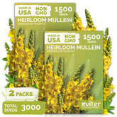 KVITER mullein seeds packet ready for easy home planting.