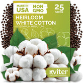 KVITER real cotton seed on soil, ready for planting in a home garden.