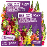 KVITER snapdragon tetra mix color bloom brightens garden beds for year-round color.