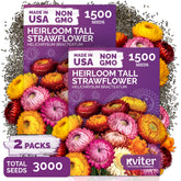 KVITER strawflower seed packets two-pack for spring planting and vibrant color.