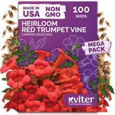 KVITER trumpet vine seeds packet showing red blooms and climbing potential for fences.