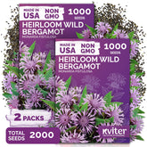 KVITER wild bergamot seeds ready for outdoor planting and pollinator-friendly beds.