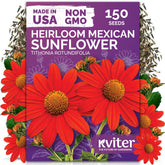 KVITER Mexican sunflower seeds for planting brighten garden beds and borders