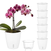 KvyusFlourish white self-watering pot with wick for steady hydration