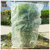 KXCOFTXI insect barrier mesh protects a tomato plant from birds