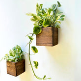 LaLaGreen wood planter box 4x4-inch in a 2-pack for compact plants.