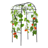 Lalahoni garden arch trellis with 80-inch height supports climbing vines and entryways.