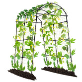Lalahoni garden arch trellis front view shows sturdy rust-protected frame supporting climbing plants.