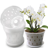 Lanccona Orchid Pot 6-7 inch top view shows clear walls for easy root observation