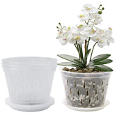 Lanccona orchid pot 8-inch top view shows clear walls for root monitoring.