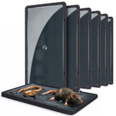 Landisun glue trap indoors for mice — secure capture without noise