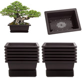 LANIAKEA bonsai pot rectangle 6.5 inch with tray, ideal for seedling growth and neat drainage.