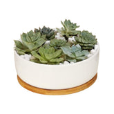 LANKER round white ceramic planter with bamboo tray for desk decor.